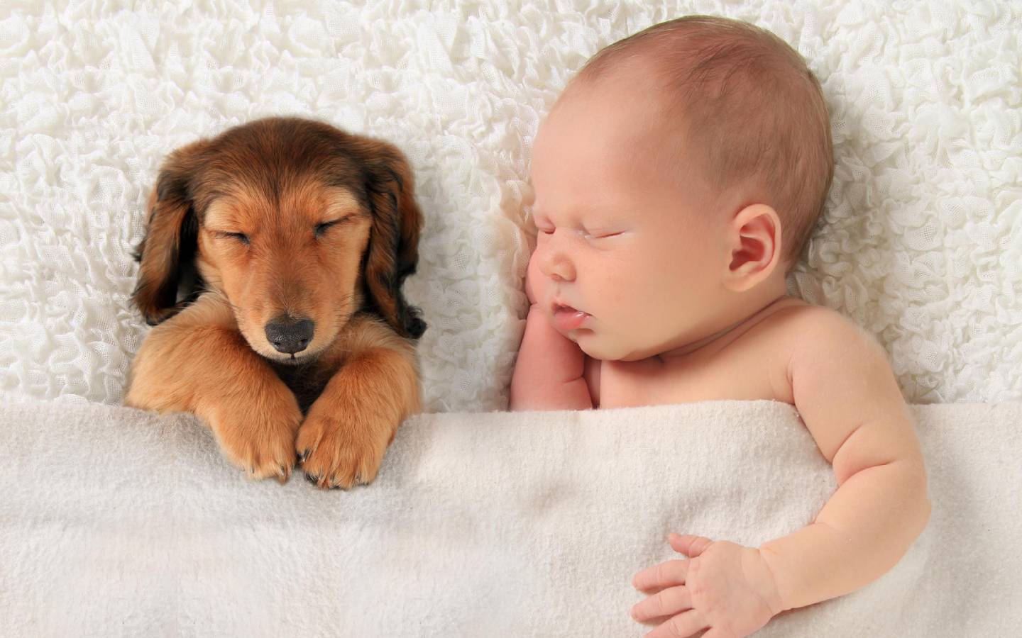 What Happens to the Children Sleeping With Their Pets?