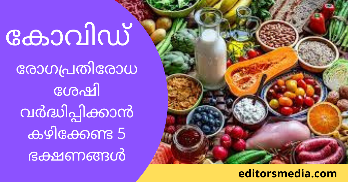 Covid | രോഗപ്രതിരോധ ശേഷി വർദ്ധിപ്പിക്കാൻ കഴിക്കേണ്ട 5 ഭക്ഷണങ്ങൾ